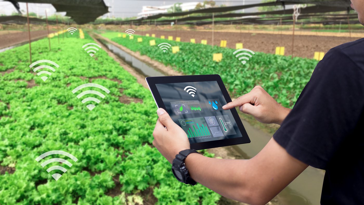 Ứng dụng GIS trong nông nghiệp phát triển nền nông nghiệp công nghệ cao