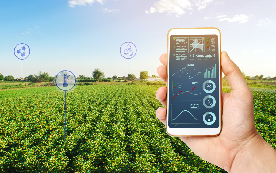 dự đoán sản lượng nông sản, smart farming, ứng dụng GIS, ứng dụng GIS trong nông nghiệp