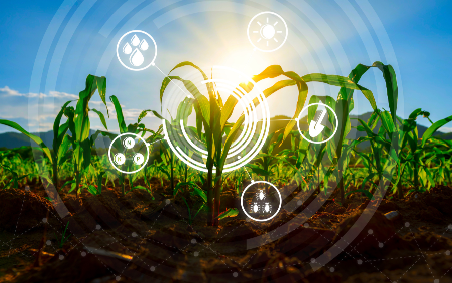 ứng dụng gis, dự đoán sản lượng nông sản, ứng dụng gis giúp dự đoán sản lượng nông sản